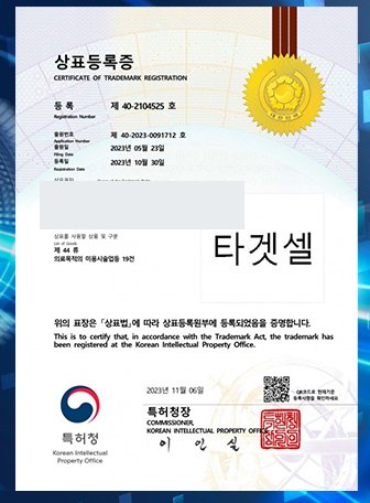 NELL 商标注册证 6